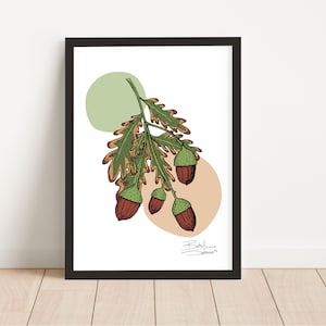 Acorn print, Autumn Print, Acorn drawing, Acorn illustration, line drawing, Thanksgiving gift, wall gallery print, wall art, Oak tree branch