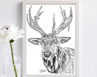 May include: Black and white line art drawing of a deer with large antlers. The deer is looking directly at the viewer.