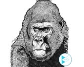 Articoli Simili A Disegno Astratto Gorilla Nero Penna
