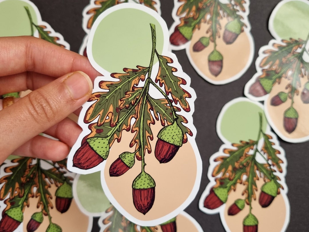 Acorn Sticker, Autumn Plant, Laptop Decal, Bullet Journal Sticker ...
