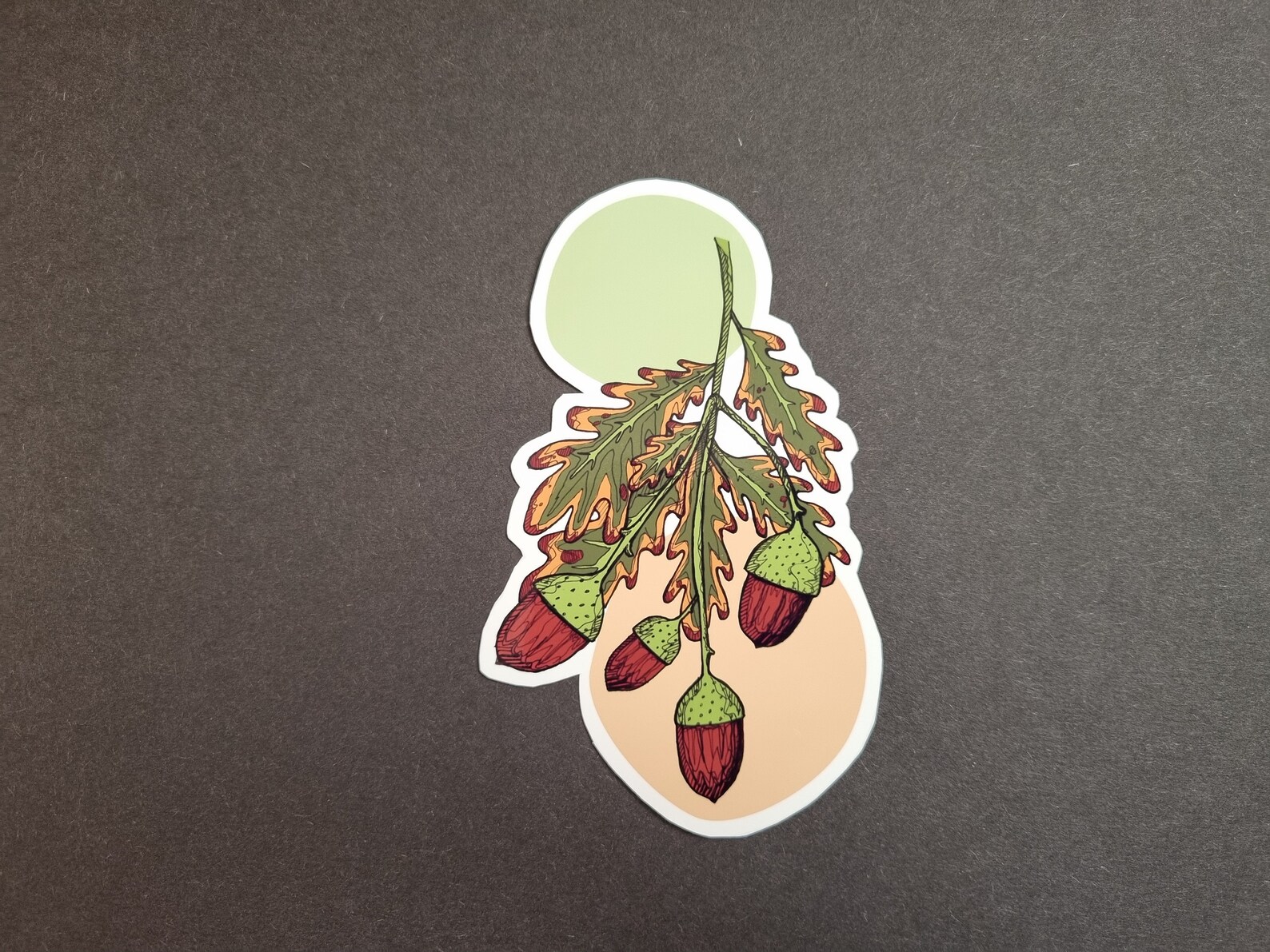 Acorn Sticker, Autumn Plant, Laptop Decal, Bullet Journal Sticker ...