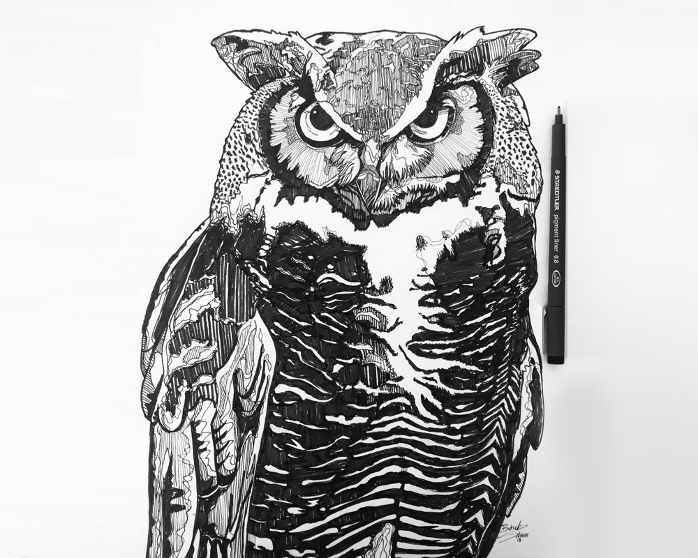 Original Owl drawing, Line drawing, fine liners, pen art, black and white, Halloween wall decor, bir