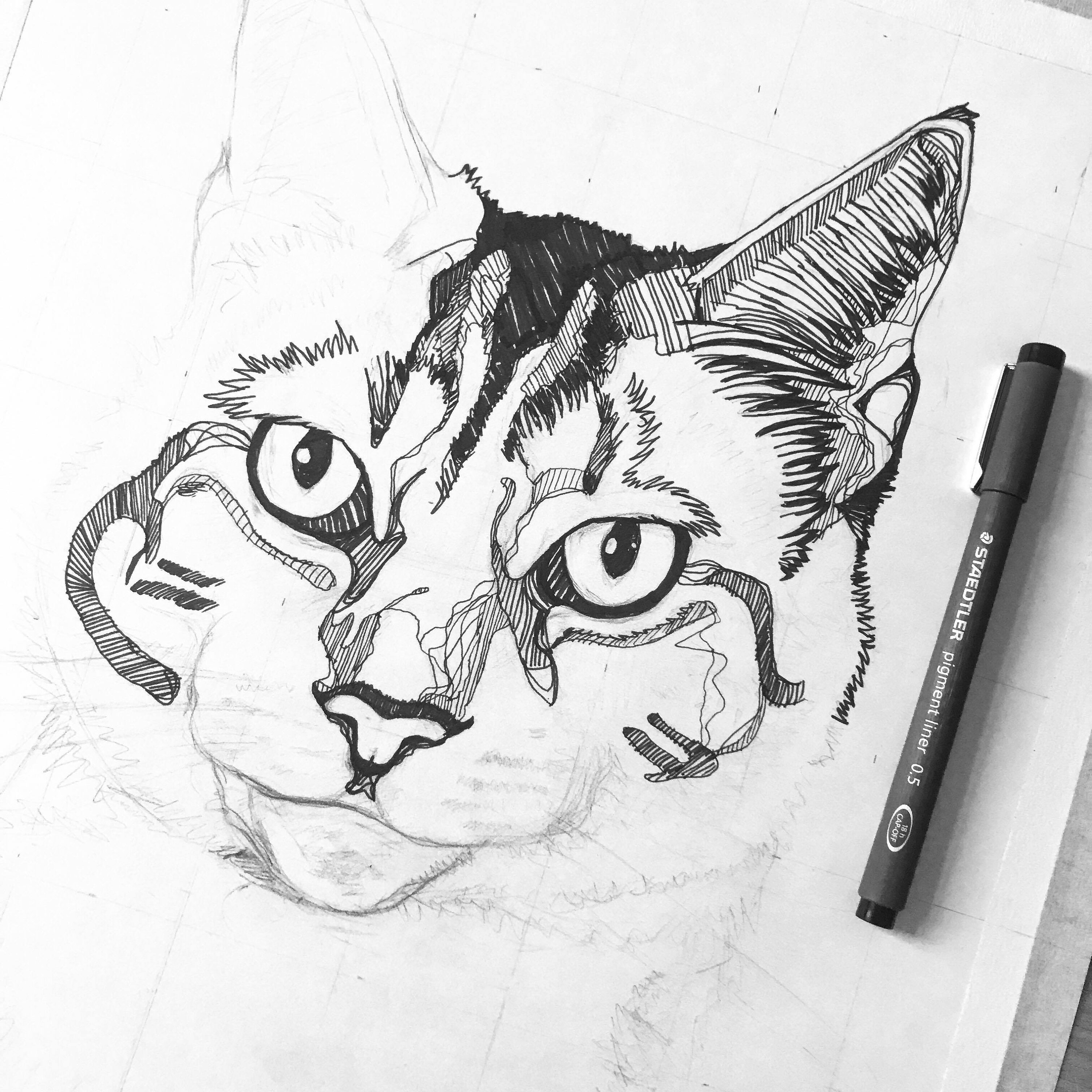 Custom Pet line drawing Pet Portrait commission drawing | Etsy