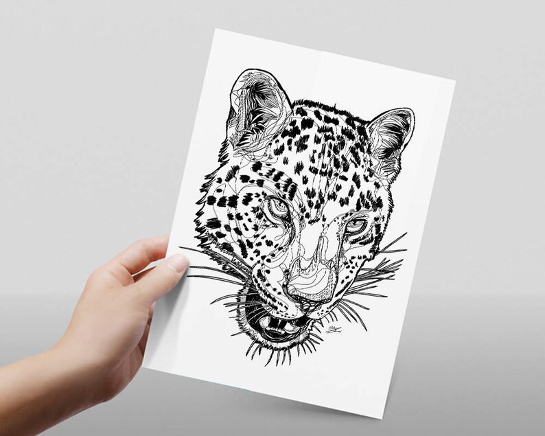 Set Di Tre Gatti Selvatici Leonessa Drawing Disegno Etsy