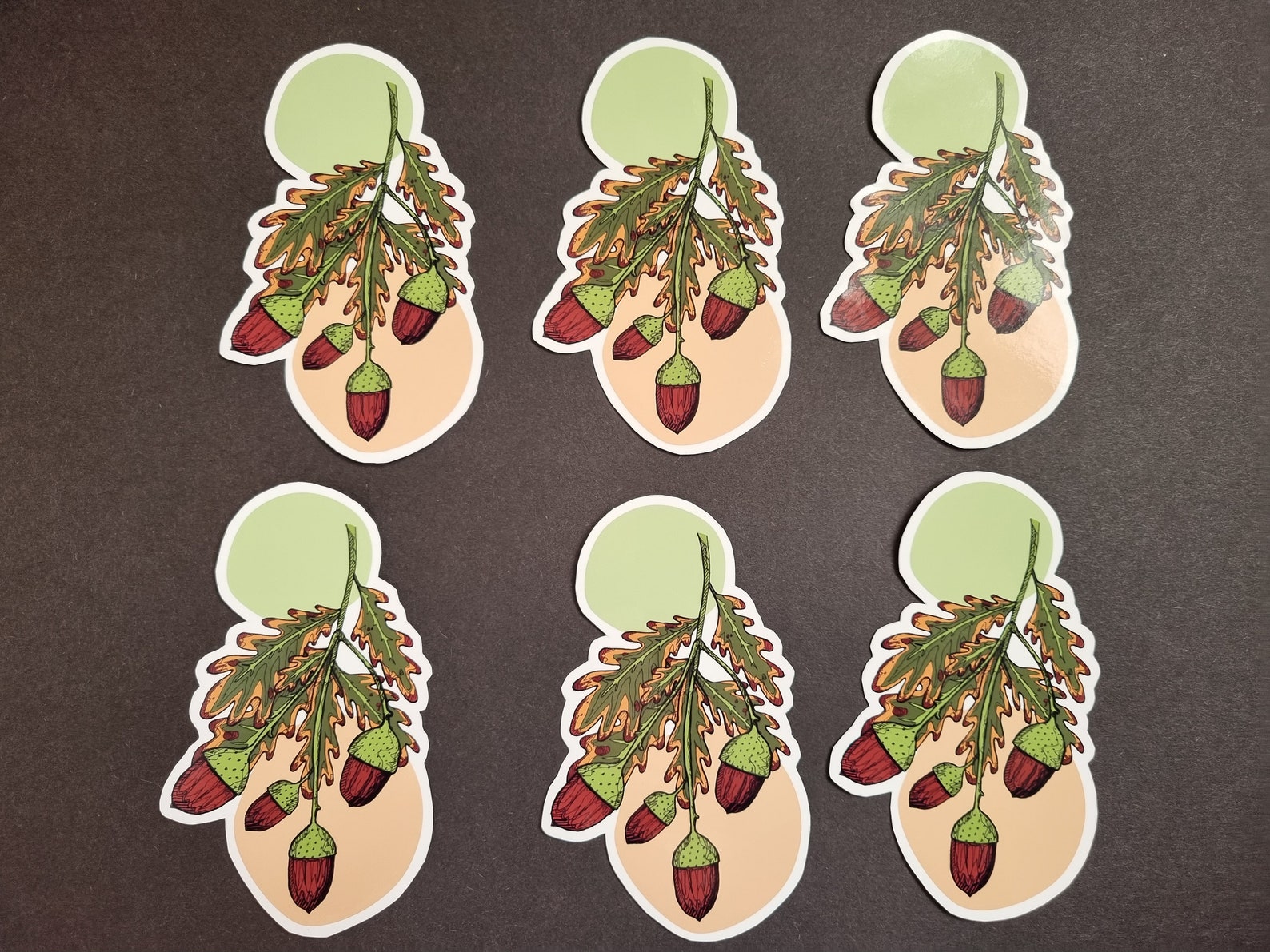 Acorn Sticker, Autumn Plant, Laptop Decal, Bullet Journal Sticker ...