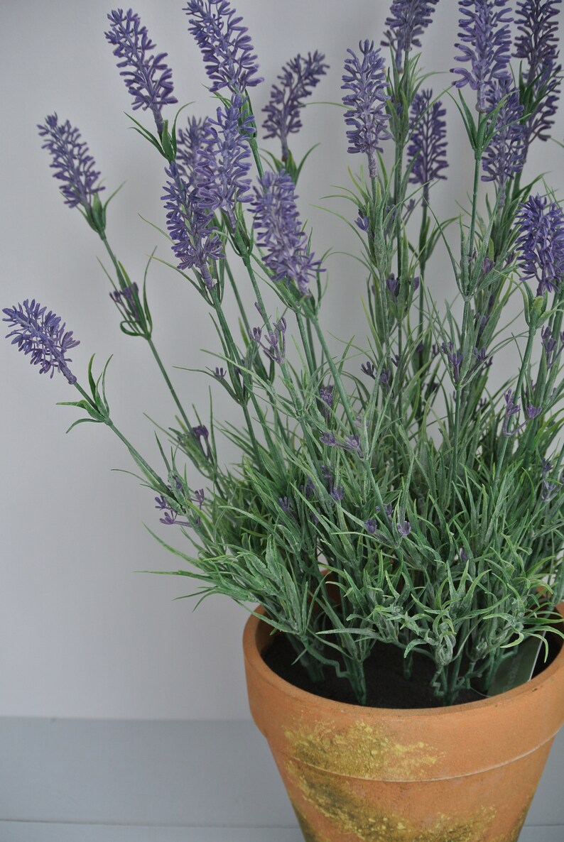 Finto rustico pianta di lavanda artificiale in vaso di Etsy