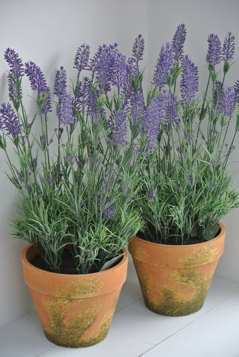Finto rustico pianta di lavanda artificiale in vaso di Etsy