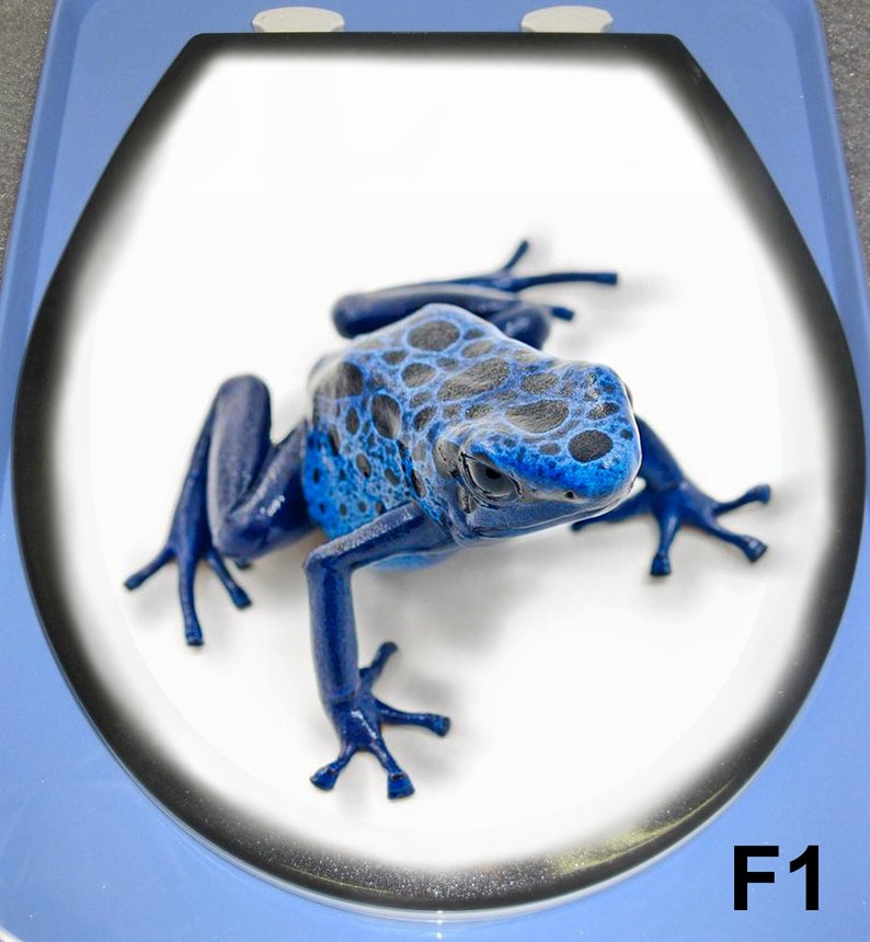 Custom Airbrushed Frogs Toilet Seat 4 Designs to Choose From Etsy