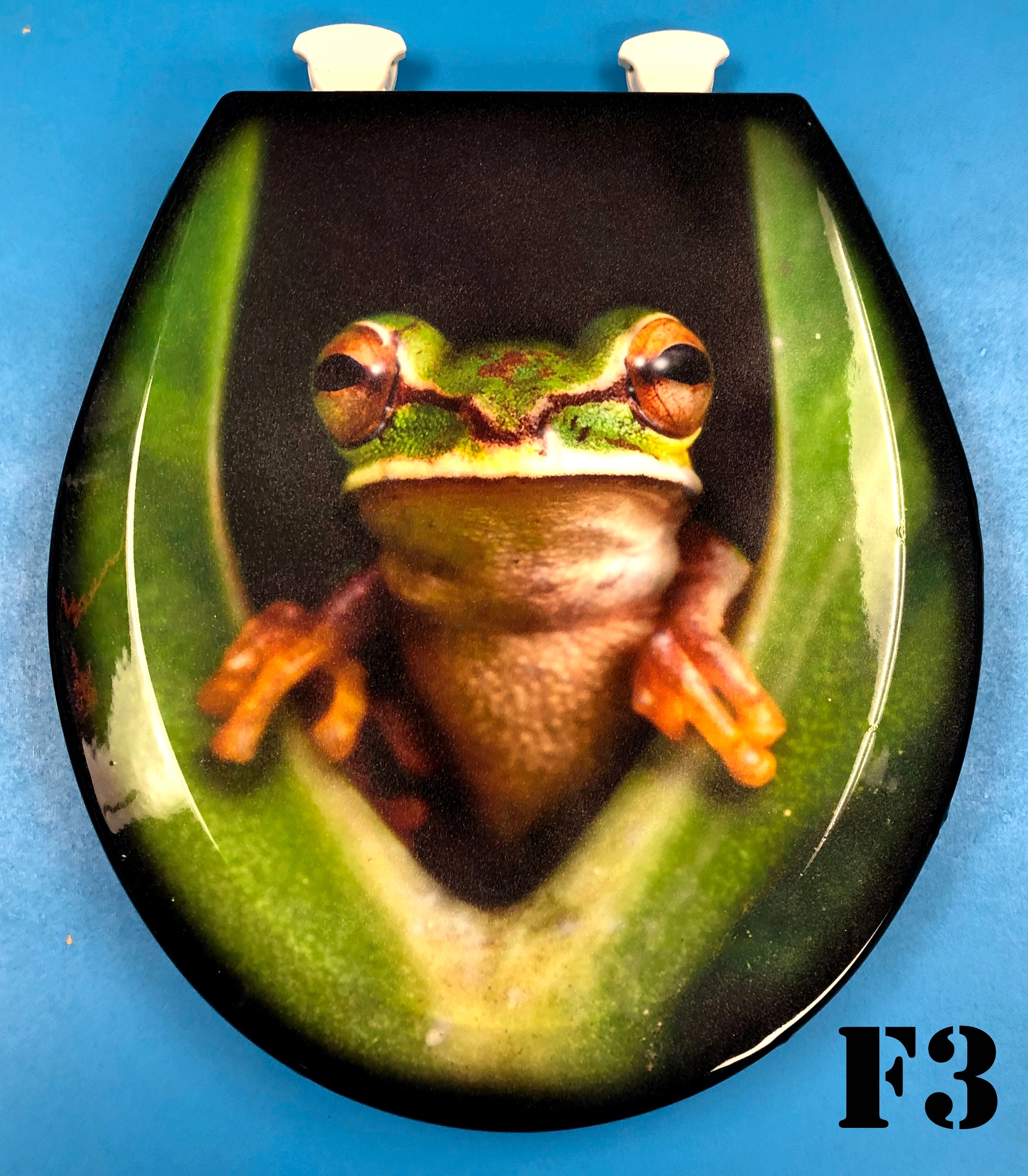 Custom Airbrushed Frogs Toilet Seat 4 Designs to Choose From Etsy