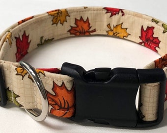 fall dog collar