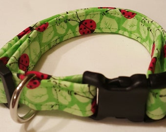 dog collar, green ladybugs, lady bug dog collar, ladybug dog collar, ladybugs