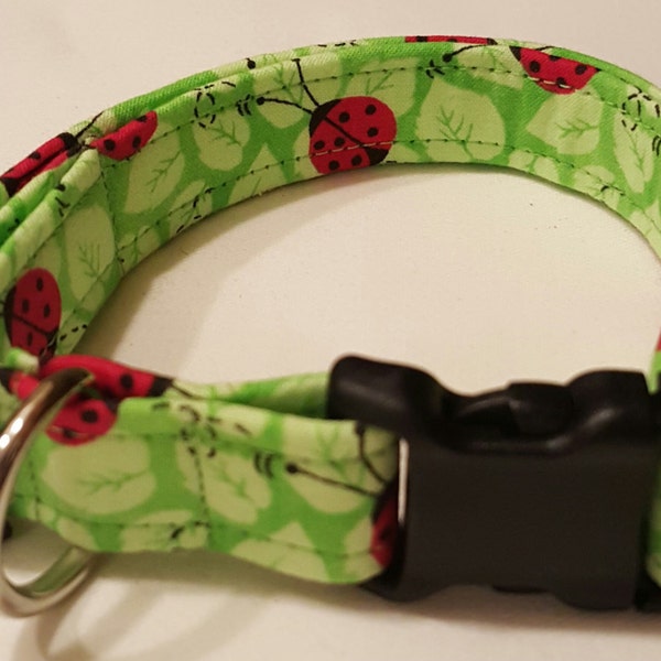 dog collar, green ladybugs, lady bug dog collar, ladybug dog collar, ladybugs