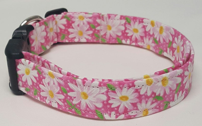 dog collar, pink daisy, daisy, daisies, floral, floral dog collar, floral collar, daisy dog collar, daisy collar, female dog collar image 2