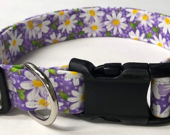 dog collar, purple daisy, daisy, daisies, daisy dog collar, daisy collar, flower dog collar, flower collar, floral dog collar, floral collar