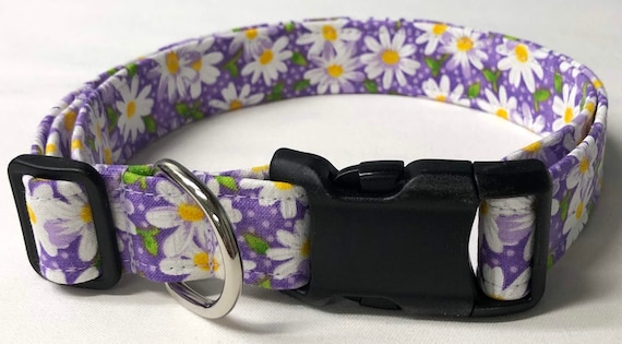 daisy dog collars