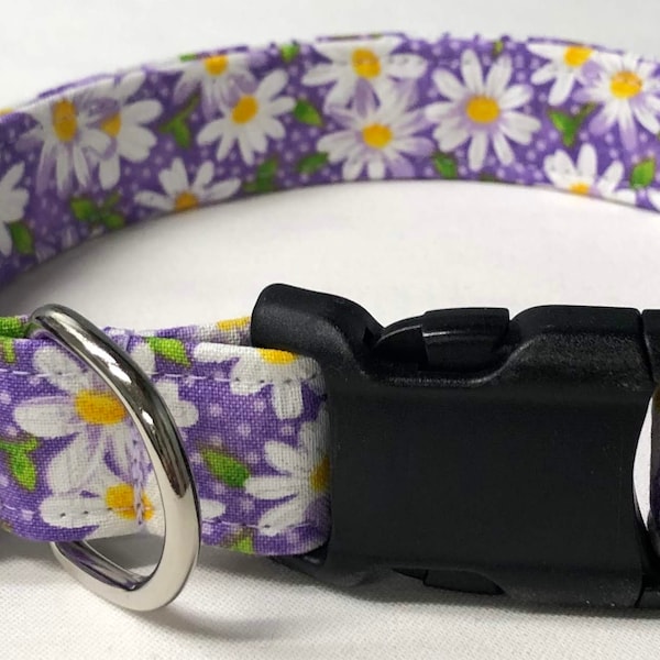 dog collar, purple daisy, daisy, daisies, daisy dog collar, daisy collar, flower dog collar, flower collar, floral dog collar, floral collar