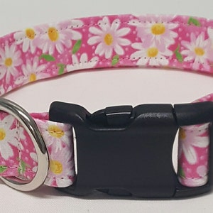 dog collar, pink daisy, daisy, daisies, floral, floral dog collar, floral collar, daisy dog collar, daisy collar, female dog collar image 1