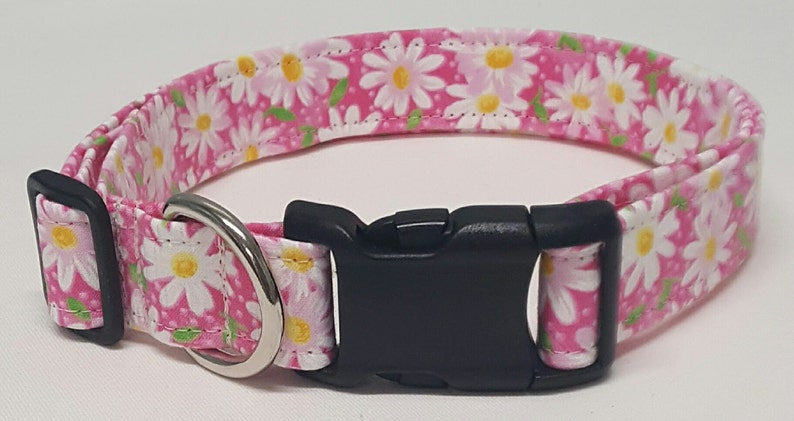 dog collar, pink daisy, daisy, daisies, floral, floral dog collar, floral collar, daisy dog collar, daisy collar, female dog collar image 1