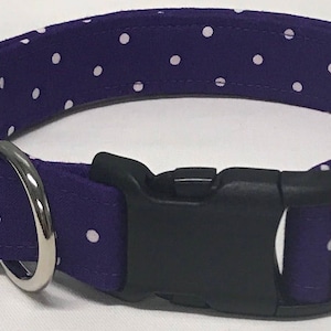 dog collar, purple polka dot, polka dot, polka dot dog collar, polka dot collar, polka dot dog