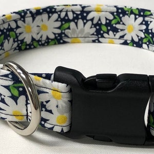 dog collar, navy daisy, daisy, daisy dog collar, daisy collar, spring, spring dog collar, spring collar, summer, floral, floral dog collar