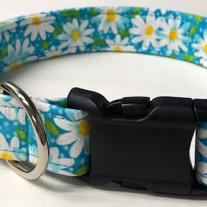 dog collar, aqua daisy, daisy, daisies, daisy dog collar, daisy collar, flower dog collar, flower collar, floral dog collar, floral collar