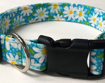 dog collar, aqua daisy, daisy, daisies, daisy dog collar, daisy collar, flower dog collar, flower collar, floral dog collar, floral collar