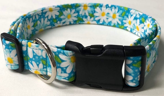 daisy puppy collar