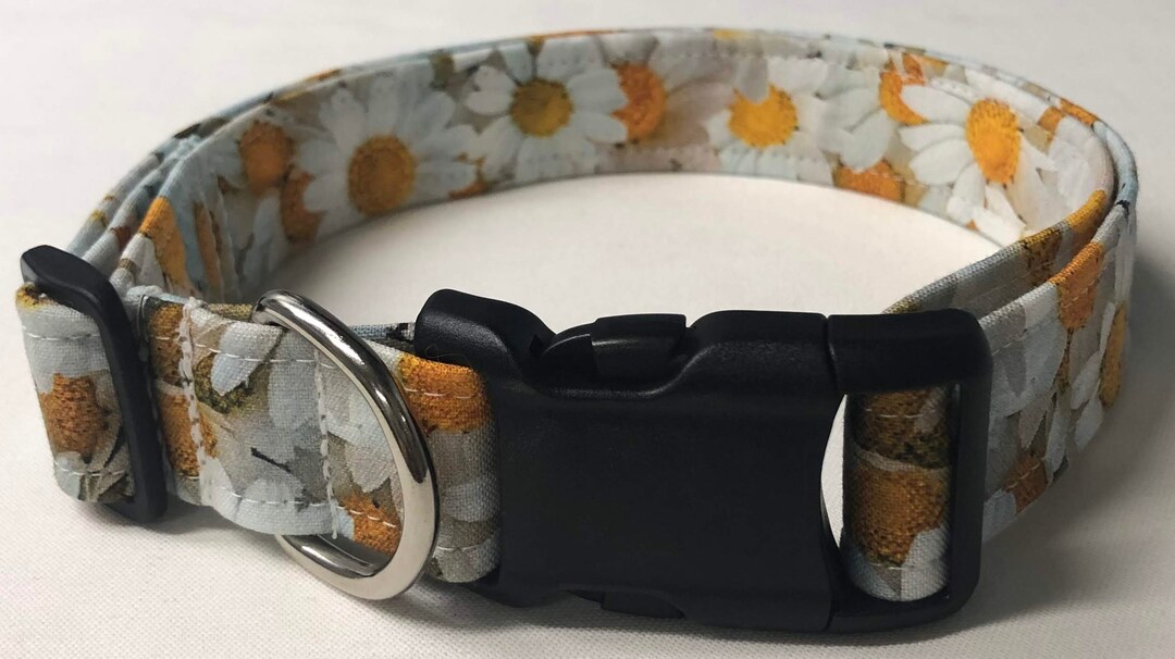 Dog Collar Daisy Daisy Dog Collar Daisy Collar Floral Dog Etsy