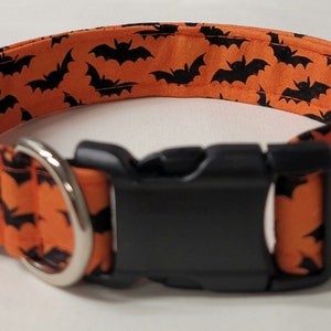 dog collar, orange bats, bat dog collar, bat collar, halloween, halloween dog collar, halloween collar, pumpkin, pumpkin dog collar