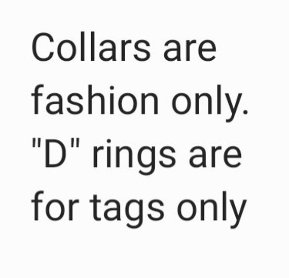 Dog collar hot sale for tags only
