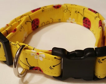 dog collar, yellow ladybugs, lady bug dog collar, ladybug dog collar, ladybugs