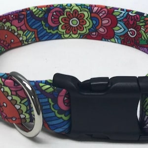 dog collar, purple passion, female dog collar, female collar, paisley, paisley dog collar, paisley collar