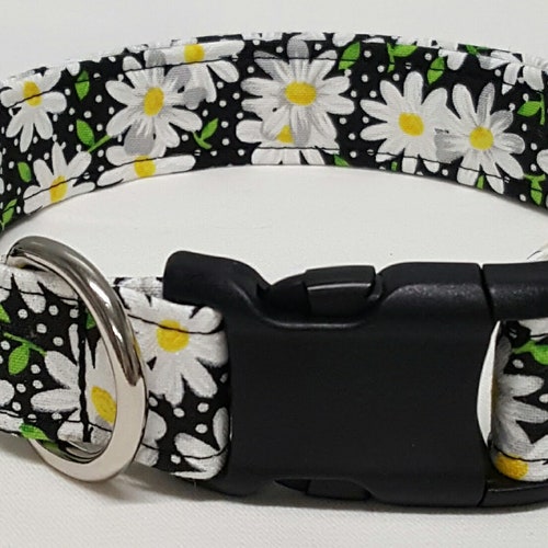 Dog Collar Black Daisy Black Daisies Dog Collar Daisy Dog Etsy
