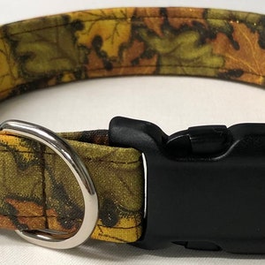 collar de perro, hojas de brillo, otoño, collar de perro de otoño, collar de otoño, hojas, otoño, cuello de perro de otoño, collar de otoño