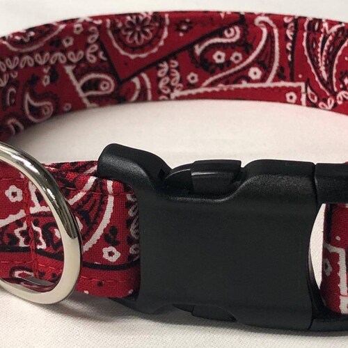 dog collar, red bandana, red bandana dog collar, red bandana collar