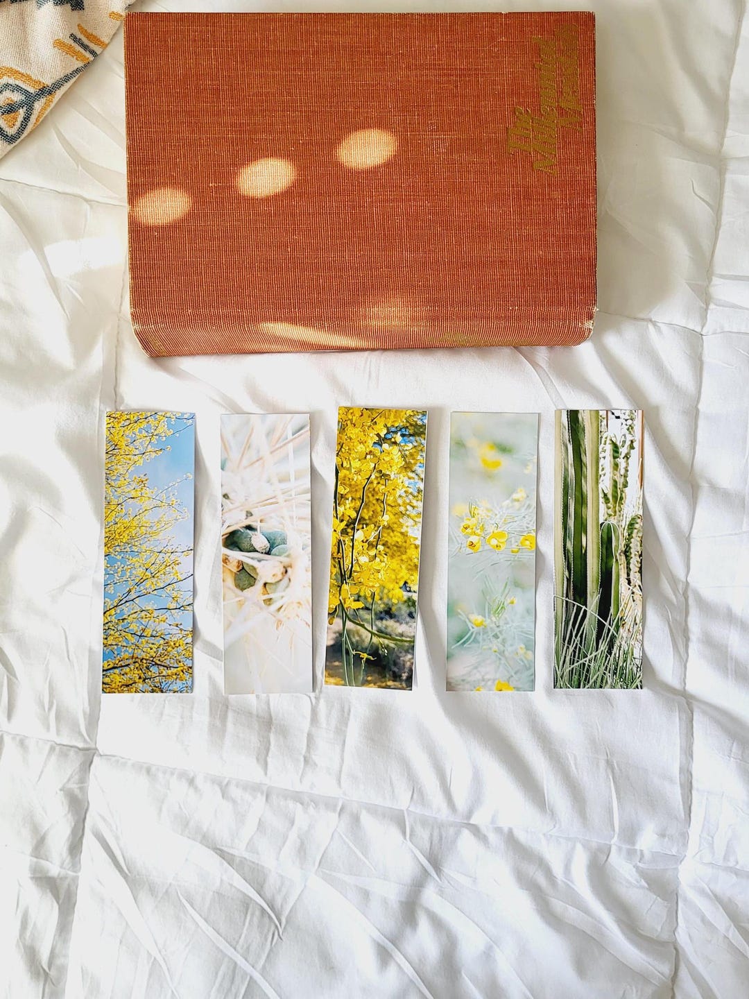 Yellow Desert Bookmarks, Photography Bookmarks, Cactus Bookmark, Set or ...