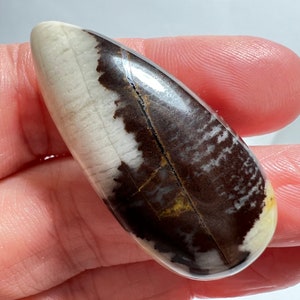 Nguni Jasper cab 100