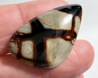 May include: A polished, teardrop-shaped stone with a brown, black, and white pattern. The stone has a smooth, glossy finish.