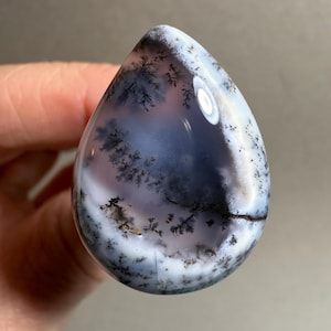 May include: A teardrop-shaped dendritic agate gemstone. The polished stone features a landscape of black, gray, and brown tree-like inclusions against a backdrop of white and blue. The stone is held in a hand.