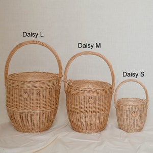Wicker basket with lid, wicker summer bag, summer bag, beach bag, straw bag, Jane Birkin basket, picnic basket, french market bag, Daisy S image 10