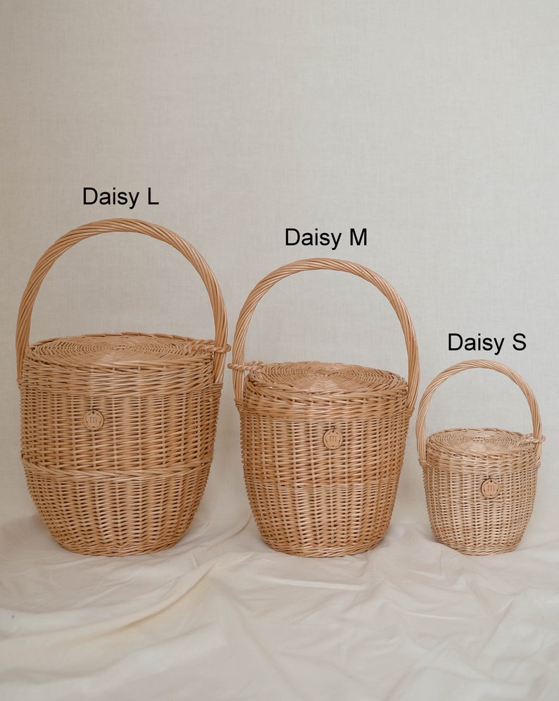 Wicker basket with lid, wicker summer bag, summer bag, beach bag, straw bag, Jane Birkin basket, picnic basket, french market bag, Daisy S image 10
