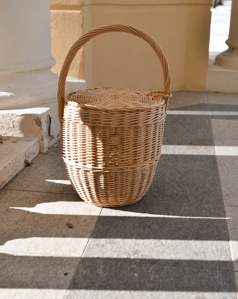 Wicker basket with lid, Jane Birkin basket, Daisy L, christmas present, handbag wicker bag image 6