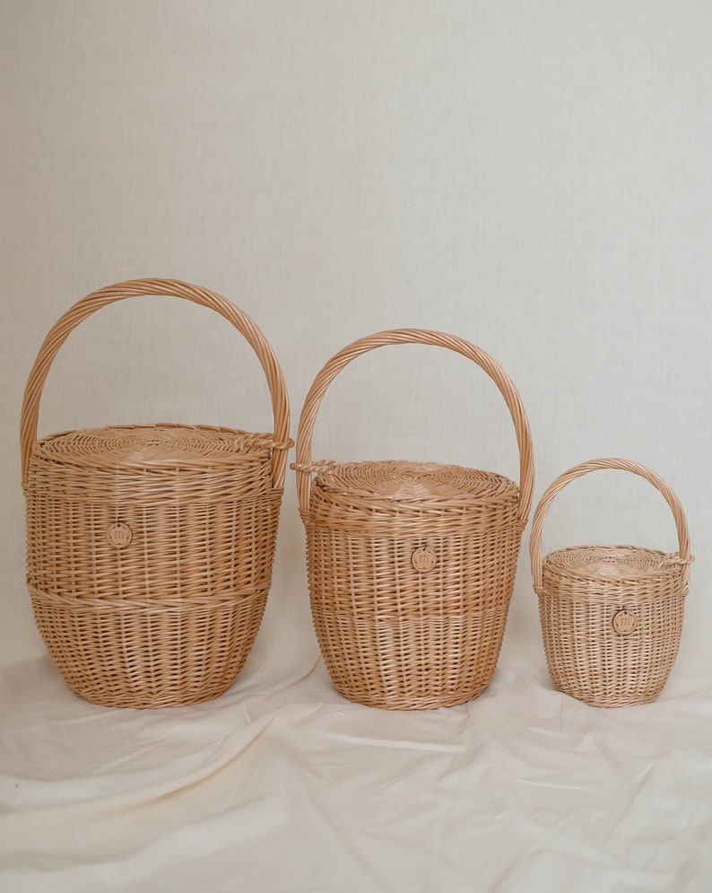 Wicker basket with lid, wicker summer bag, summer bag, beach bag, straw bag, Jane Birkin basket, picnic basket, french market bag, Daisy S image 8
