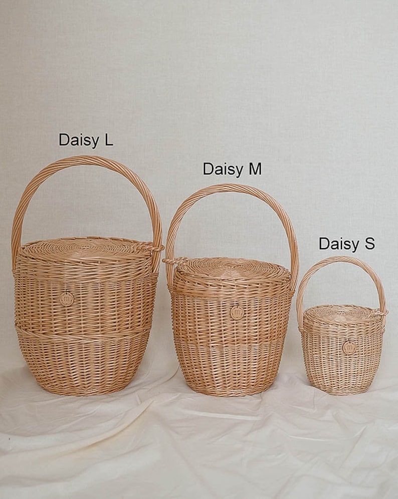 May include: Three light brown woven wicker baskets, labelled "Daisy L", "Daisy M", and "Daisy S". Each basket has a lid and a handle. The baskets are different sizes and sit on a neutral background.