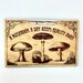 Psychedelic Magic Mushroom Laser Cut Wall Art Sign, FREE SHIPPING