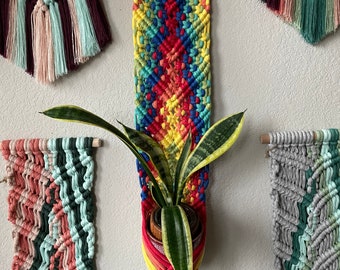 Bright Rainbow Wall Hanging with Plant Hanger