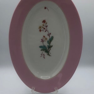 Rare Limoges Platter by  Haviland & Company, 1879 - 1889 Botanical