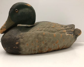 craigslist treasure coast animals