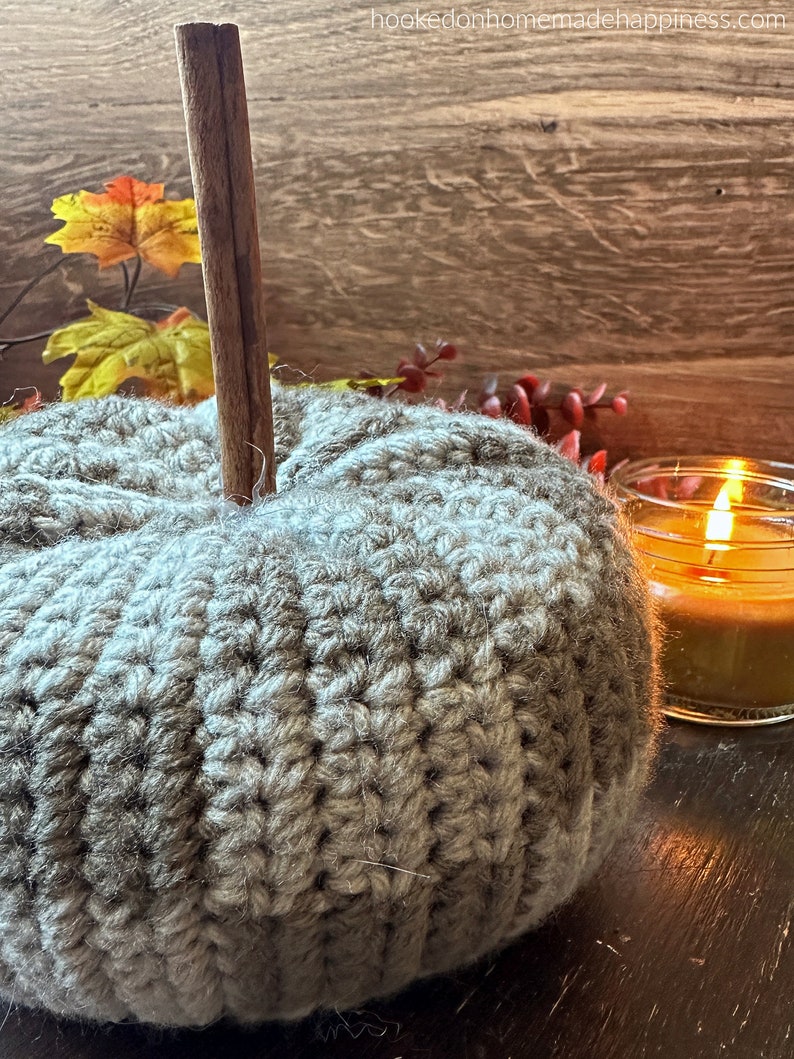 Checkerboard Pumpkin Crochet Pattern imagem 3