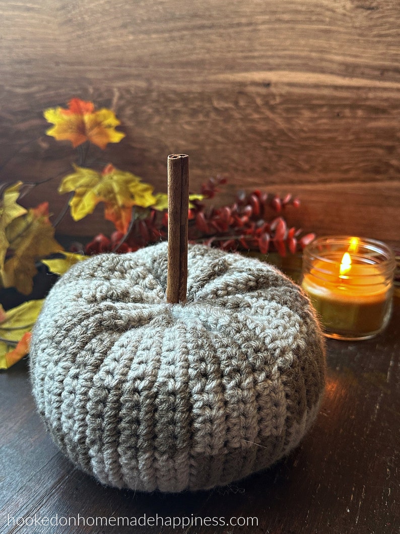 Checkerboard Pumpkin Crochet Pattern imagem 1